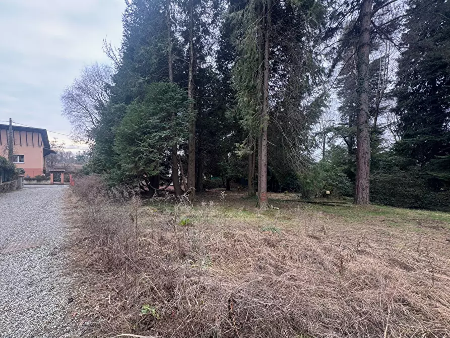 Immagine 22 di Terreno residenziale in vendita  in Via Monte Ameno 17 a Somma Lombardo