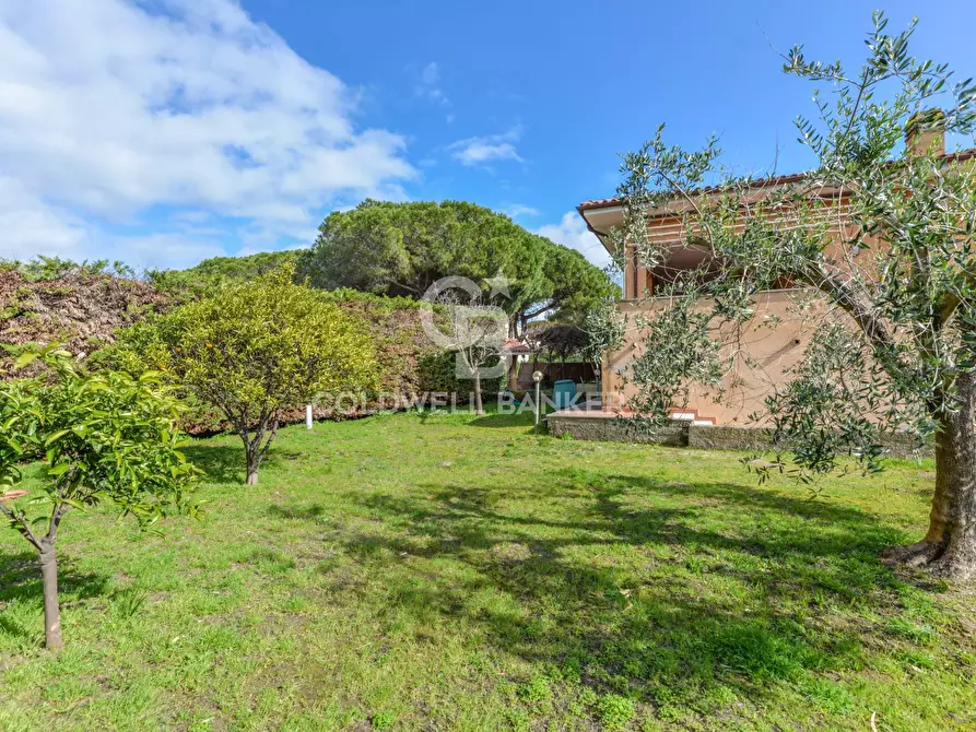 Immagine 3 di Villa in vendita  in Via Giacomo Puccini a Campo Nell'elba