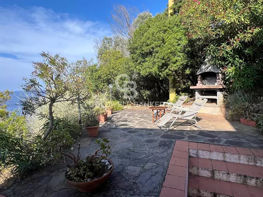 Immagine 43 di Villa in vendita  in Loc. La Cala a Marciana Marina