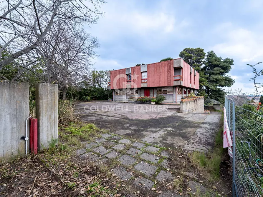 Immagine 6 di Ufficio in vendita  a San Giovanni La Punta