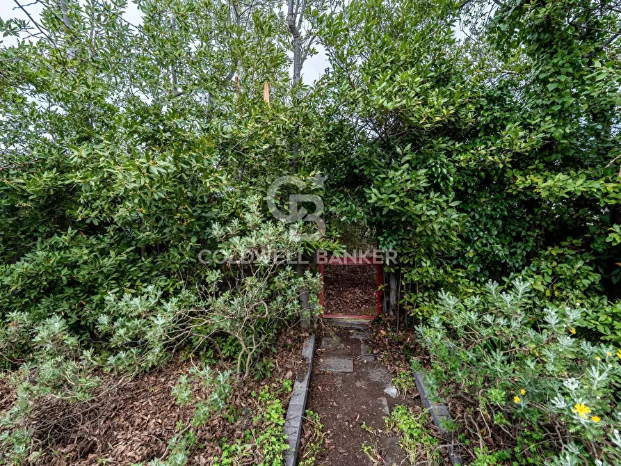 Immagine 12 di Ufficio in vendita  a San Giovanni La Punta