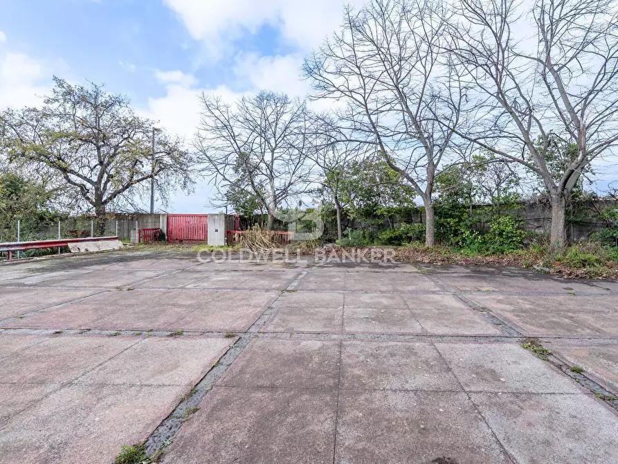 Immagine 18 di Ufficio in vendita  a San Giovanni La Punta