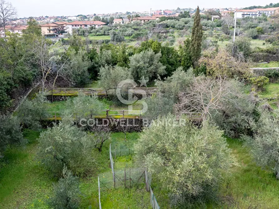 Immagine 93 di Ufficio in vendita  a San Giovanni La Punta