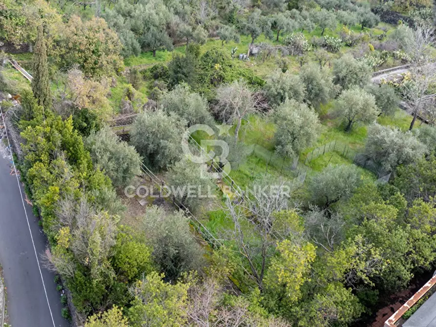 Immagine 103 di Ufficio in vendita  a San Giovanni La Punta