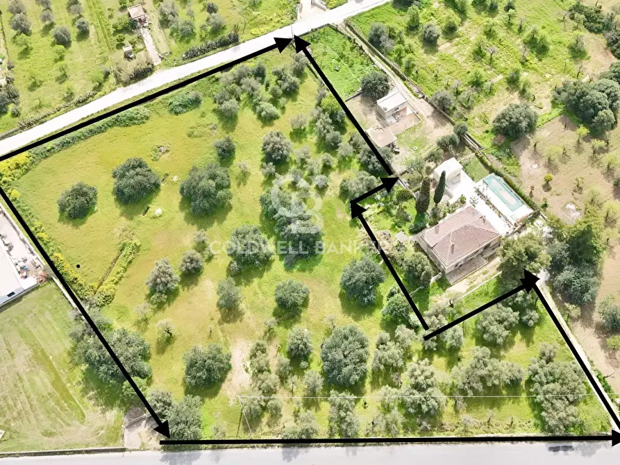 Immagine 1 di Locale commerciale in vendita  in C.DA ZACCHITA SNC a Rosolini