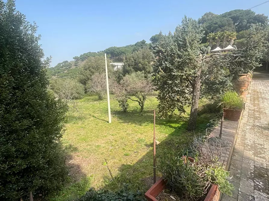 Immagine 38 di Appartamento in vendita  in via San Vito 223 a Ercolano