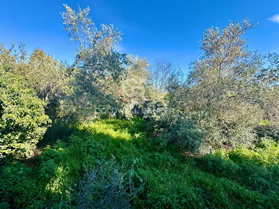 Immagine 43 di Villa in vendita  in Via Ombra a Gravina Di Catania