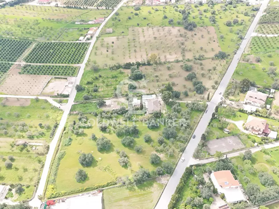 Immagine 9 di Locale commerciale in vendita  in C.DA ZACCHITA SNC a Rosolini