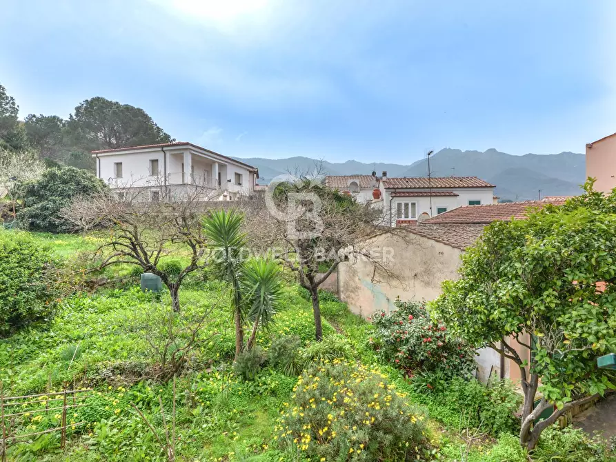 Immagine 8 di Appartamento in vendita  in Via Roma a Marciana Marina