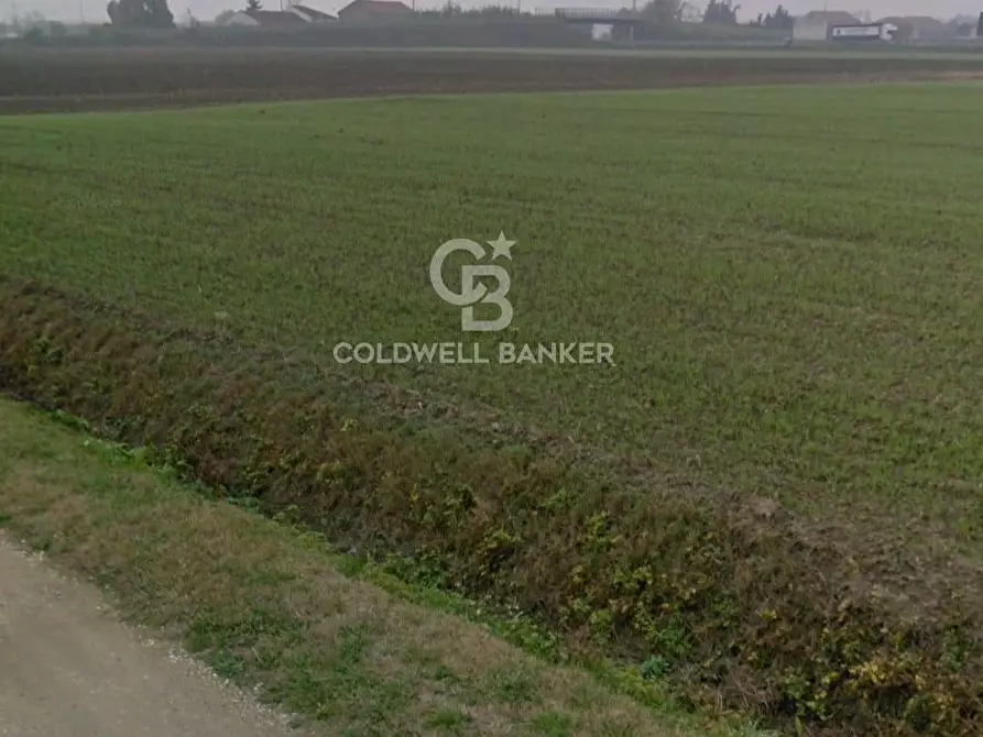 Immagine 3 di Locale commerciale in vendita  in Via Bassa Cimitero a Calto