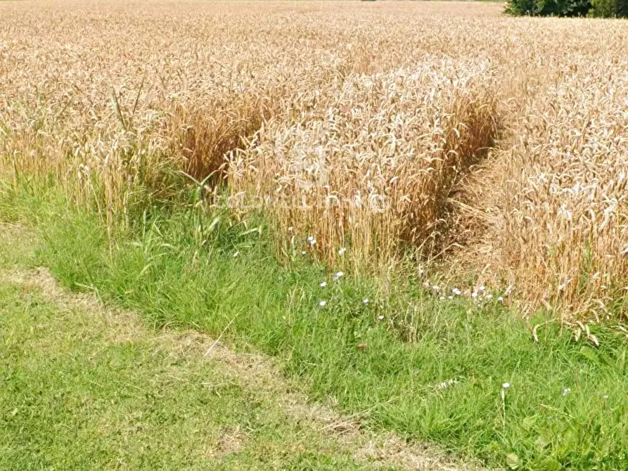 Immagine 3 di Terreno residenziale in vendita  in Via Bassa Cimitero a Calto