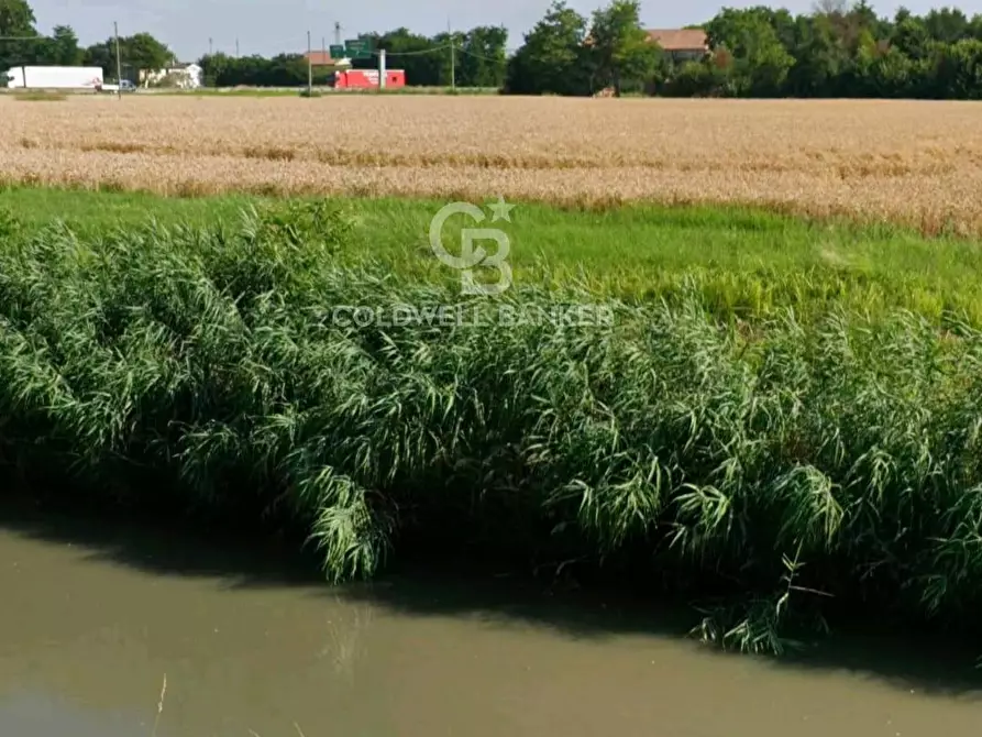 Immagine 4 di Terreno residenziale in vendita  in Via Bassa Cimitero a Calto