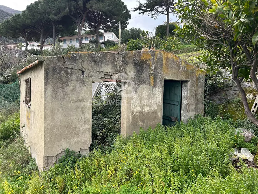 Immagine 41 di Villa in vendita  in Via Sant'Assunta a Marciana
