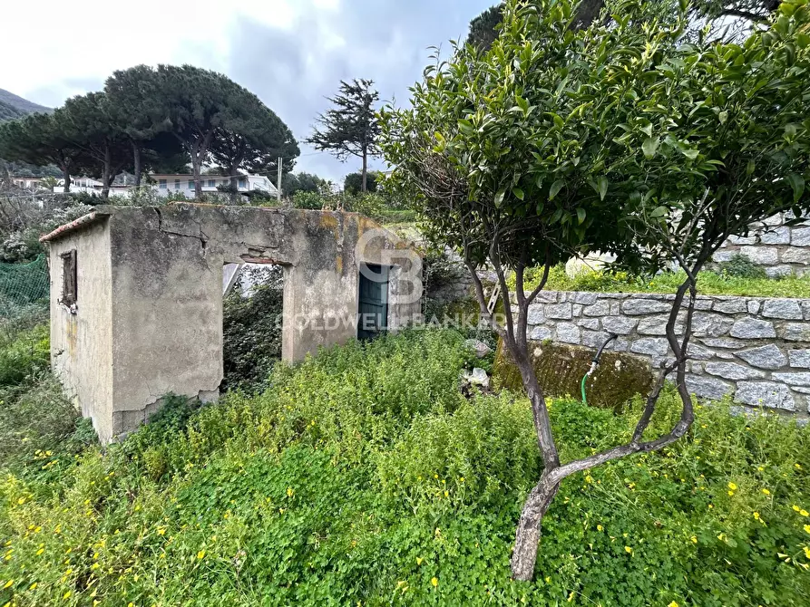 Immagine 40 di Villa in vendita  in Via Sant'Assunta a Marciana