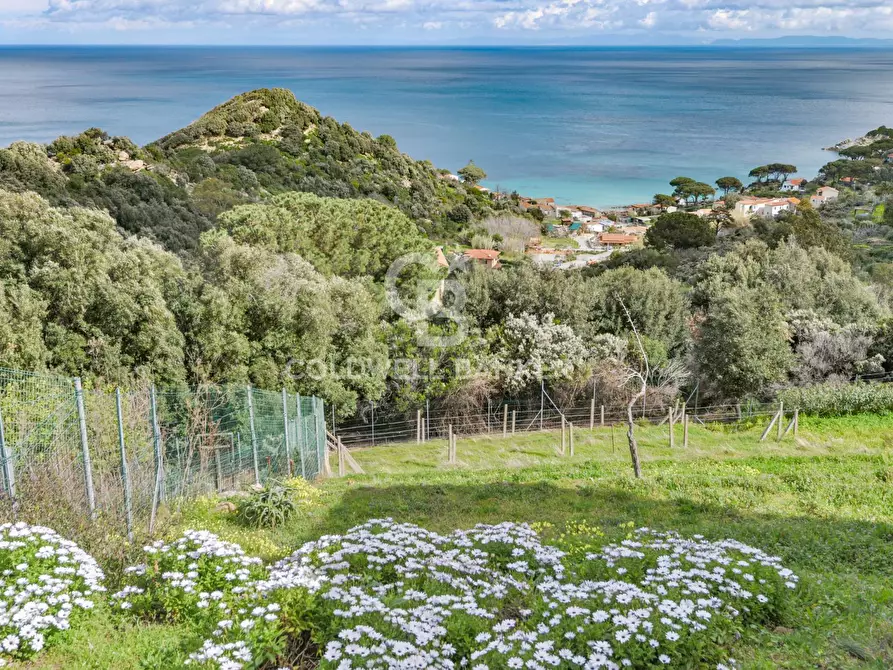 Immagine 3 di Villa in vendita  in Via Sant'Assunta a Marciana