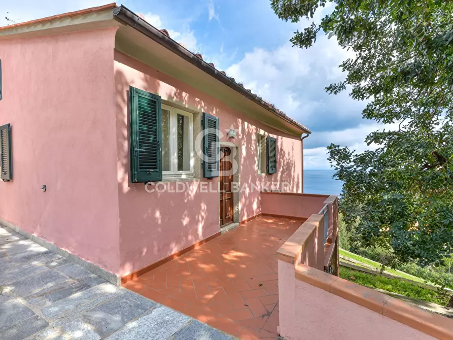 Immagine 23 di Villa in vendita  in Via Sant'Assunta a Marciana