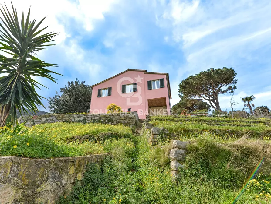 Immagine 32 di Villa in vendita  in Via Sant'Assunta a Marciana