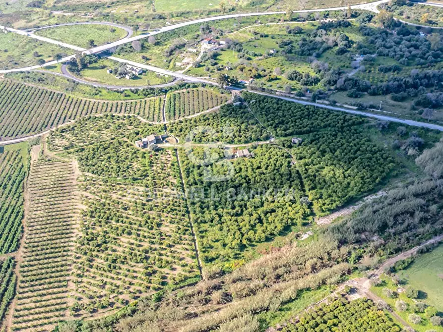 terreno agricolo in vendita a Buccheri