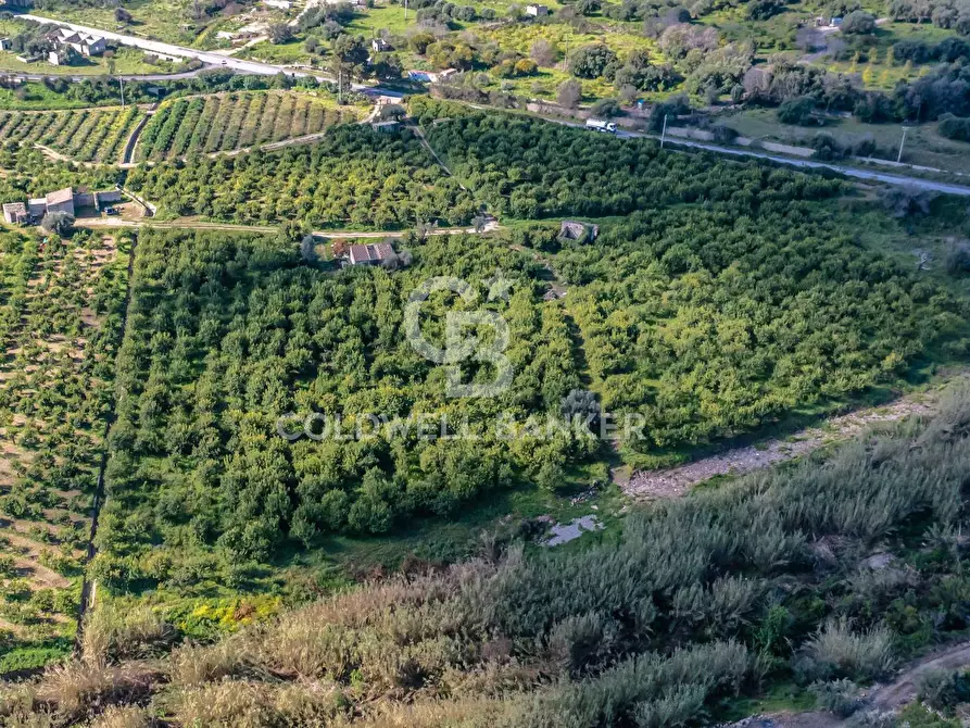 Immagine 2 di Terreno agricolo in vendita  in Strada Provinciale 2 a Buccheri
