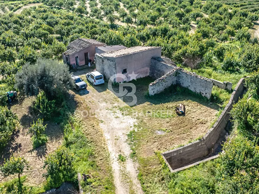 Immagine 5 di Terreno agricolo in vendita  in Strada Provinciale 2 a Buccheri