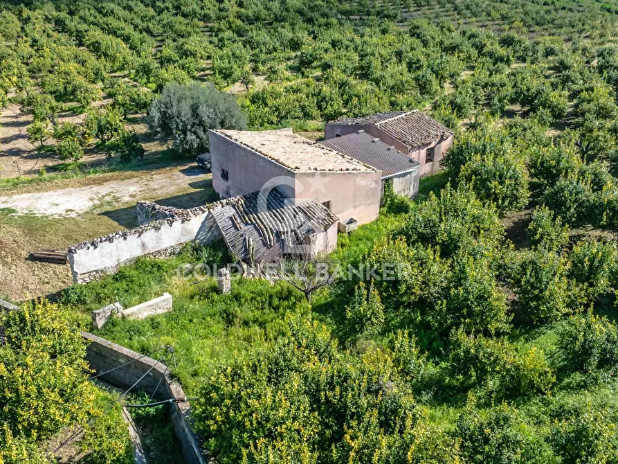 Immagine 6 di Terreno agricolo in vendita  in Strada Provinciale 2 a Buccheri