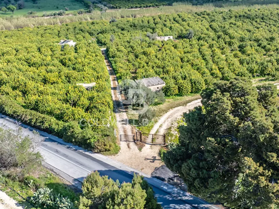 Immagine 8 di Terreno agricolo in vendita  in Strada Provinciale 2 a Buccheri