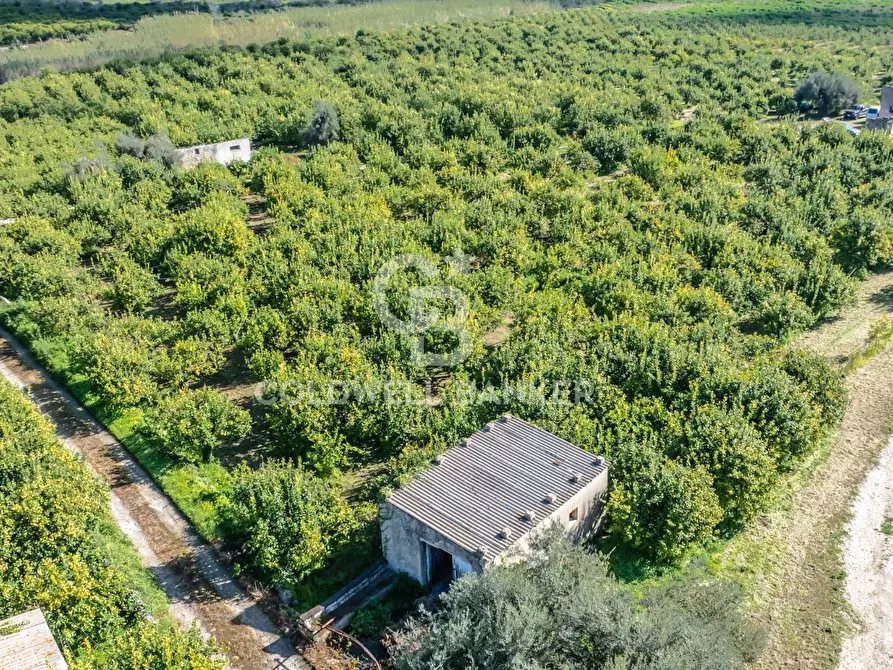 Immagine 9 di Terreno agricolo in vendita  in Strada Provinciale 2 a Buccheri