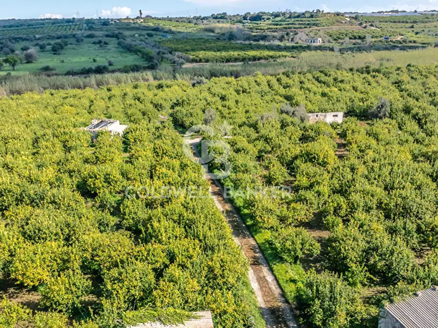 Immagine 10 di Terreno agricolo in vendita  in Strada Provinciale 2 a Buccheri