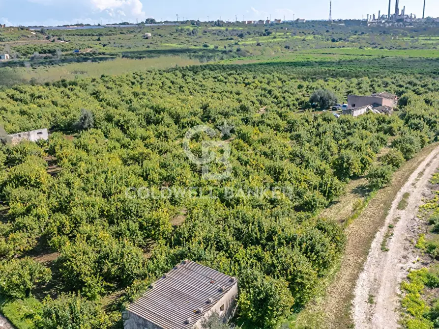 Immagine 11 di Terreno agricolo in vendita  in Strada Provinciale 2 a Buccheri