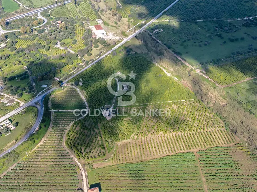 Immagine 12 di Terreno agricolo in vendita  in Strada Provinciale 2 a Buccheri