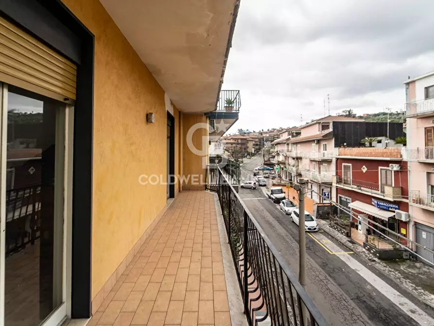 Immagine 19 di Appartamento in vendita  in Via IV Novembre 104 a Aci Catena