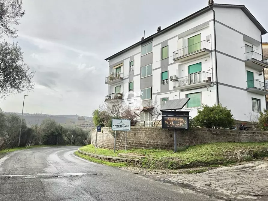 Immagine 23 di Appartamento in vendita  in Via Vallerano a Bassano In Teverina