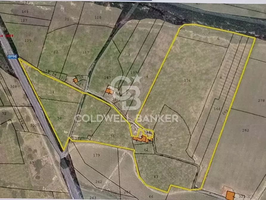 Immagine 14 di Terreno agricolo in vendita  in Strada Provinciale 2 a Buccheri