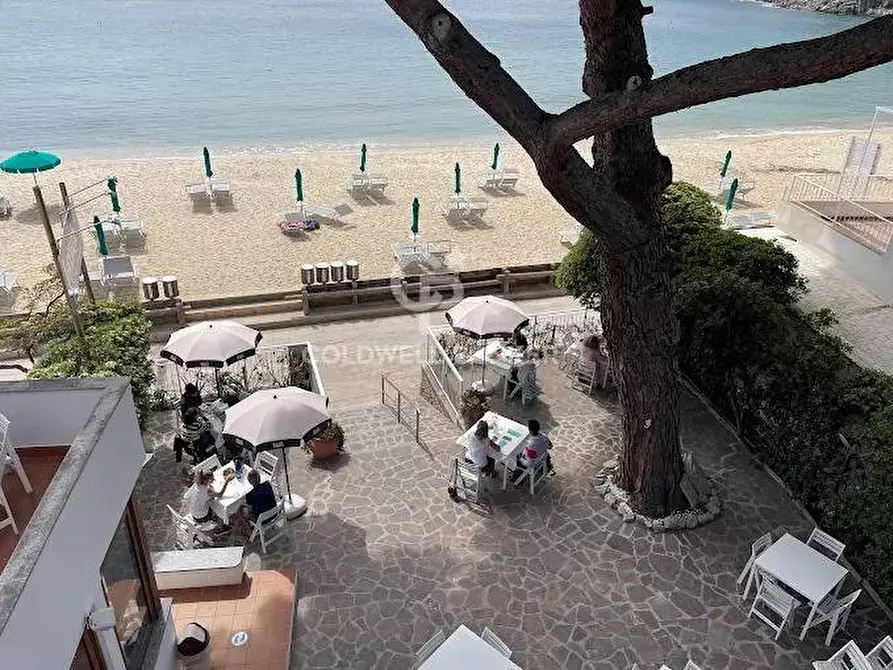 Immagine 32 di Albergo/B&B/Residence in vendita  in Via di Cavoli a Campo Nell'elba