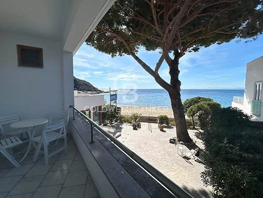 Immagine 5 di Albergo/B&B/Residence in vendita  in Via di Cavoli a Campo Nell'elba