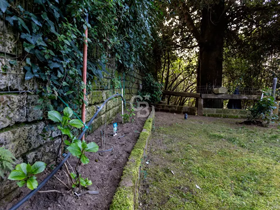 Immagine 32 di Villa in vendita  in Via Sant'Eutizio 34/A a Bassano In Teverina