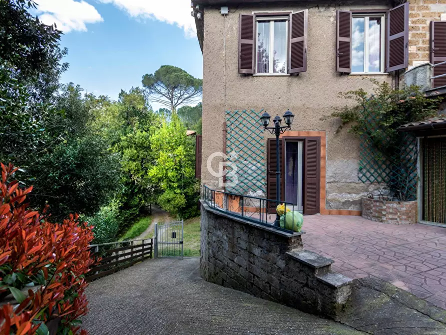 Immagine 43 di Villa in vendita  in Via Sant'Eutizio 34/A a Bassano In Teverina