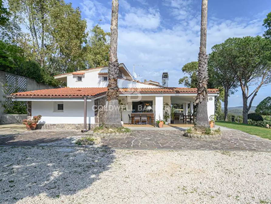 Immagine 6 di Villa in vendita  in Via Pontenuovo 40 a Santa Marinella