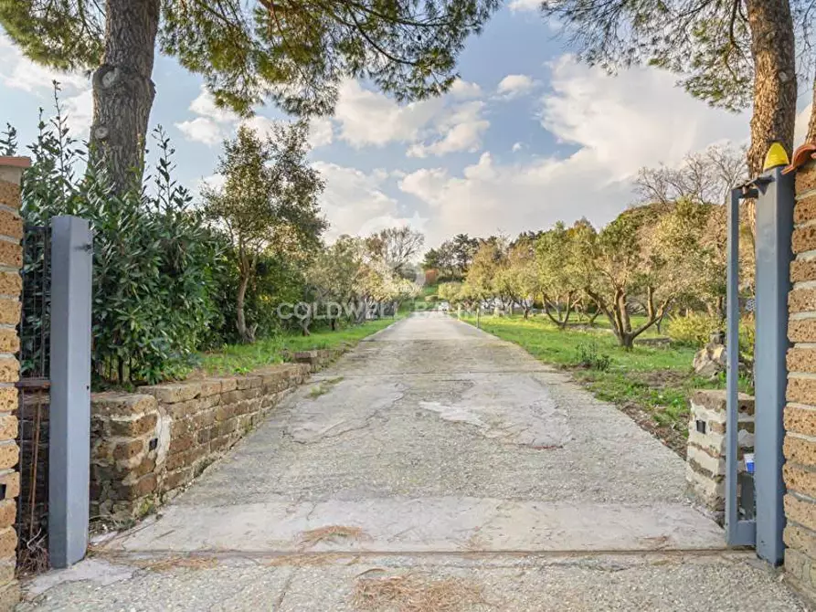 Immagine 3 di Villa in vendita  in Via Pontenuovo 40 a Santa Marinella