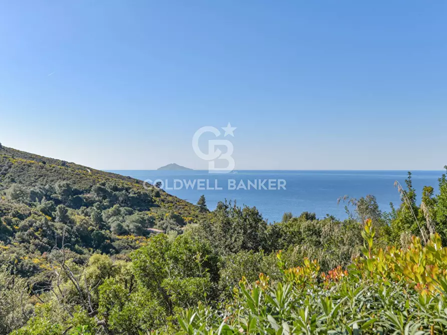 Immagine 5 di Appartamento in vendita  in Via Fonza a Campo Nell'elba