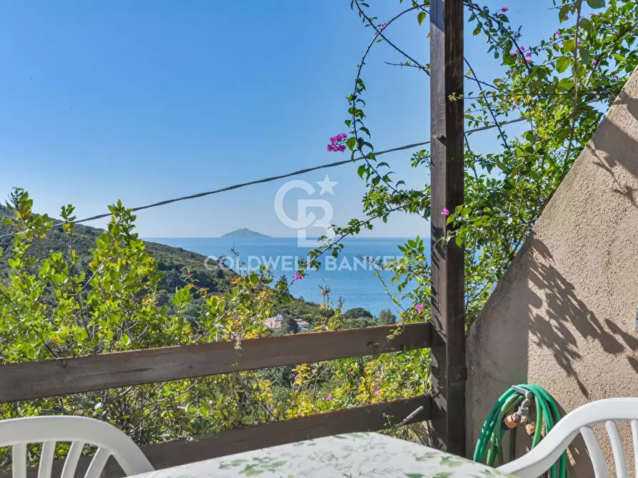 Immagine 2 di Appartamento in vendita  in Via Fonza a Campo Nell'elba