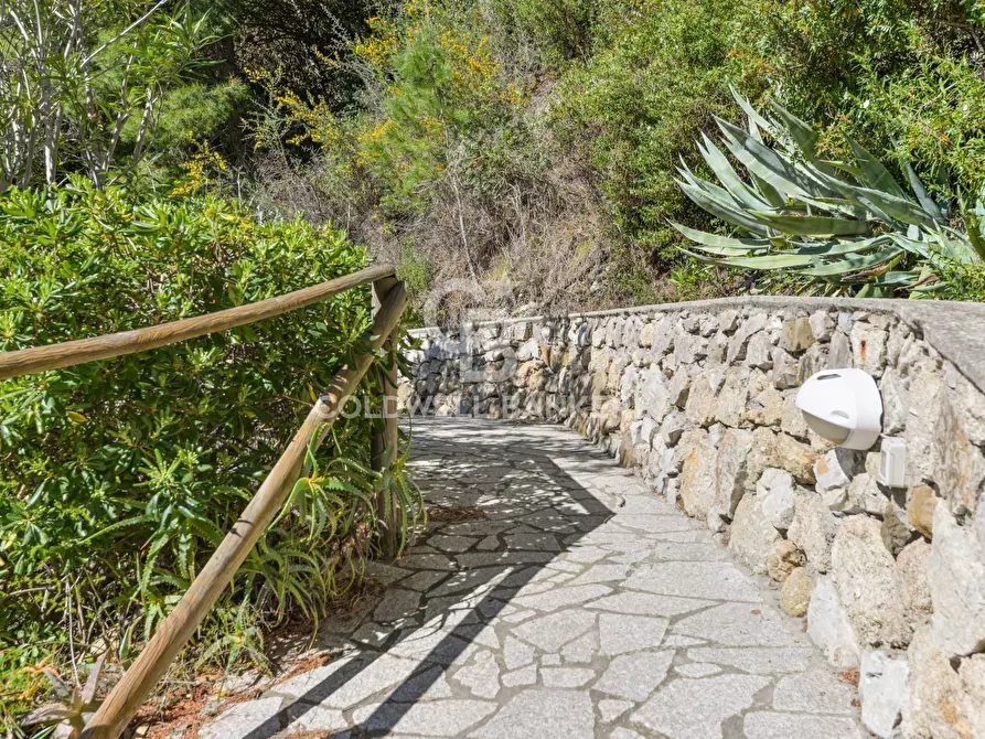 Immagine 23 di Appartamento in vendita  in Via Fonza a Campo Nell'elba