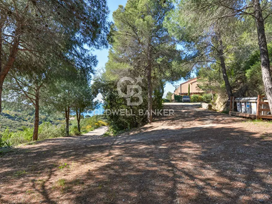 Immagine 26 di Appartamento in vendita  in Via Fonza a Campo Nell'elba