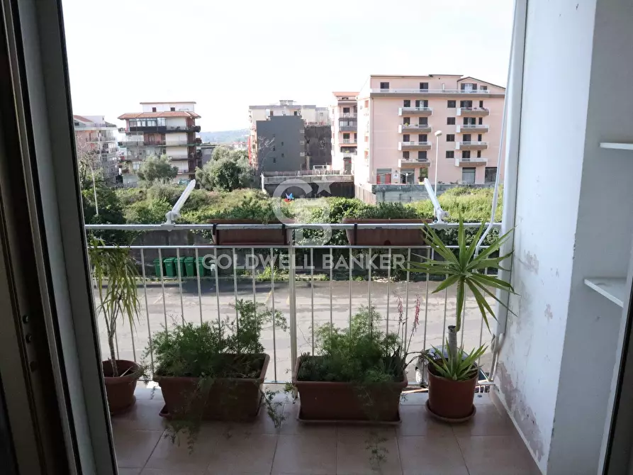 Immagine 19 di Appartamento in vendita  in Via Luigi Pirandello 4 a Acireale