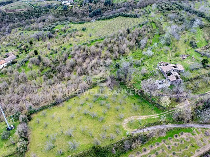 Immagine 2 di Terreno agricolo in vendita  in Via delle Querce a Giarre
