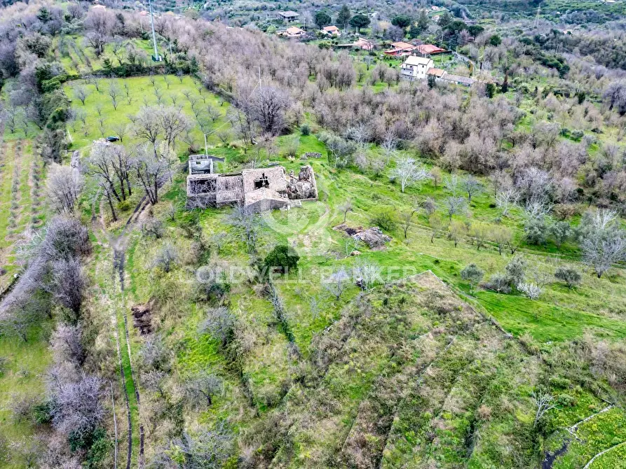 Immagine 5 di Terreno agricolo in vendita  in Via delle Querce a Giarre