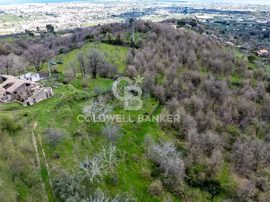 Immagine 8 di Terreno agricolo in vendita  in Via delle Querce a Giarre