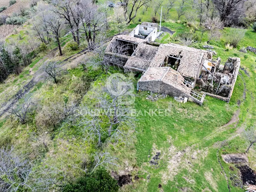 Immagine 9 di Terreno agricolo in vendita  in Via delle Querce a Giarre