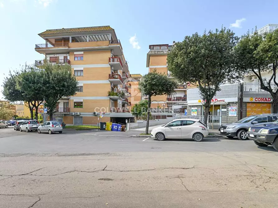 Immagine 3 di Appartamento in vendita  in Viale Igea 21 a Tarquinia