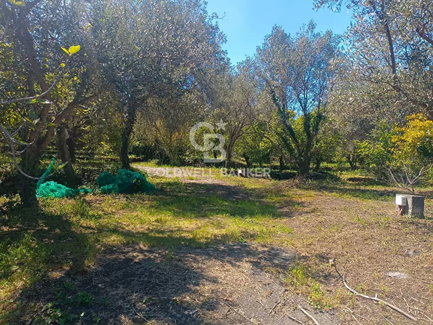 Immagine 7 di Casa indipendente in vendita  in via cent' anni 21 a Santa Venerina